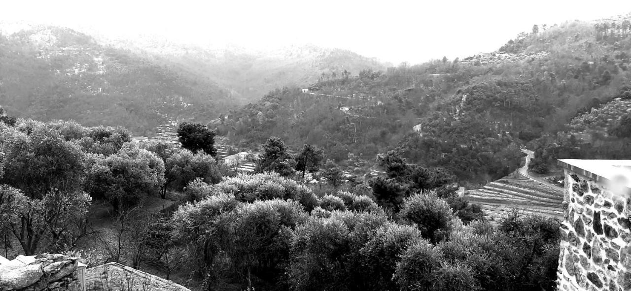 B&B L' Antica Macina Куилиано Экстерьер фото