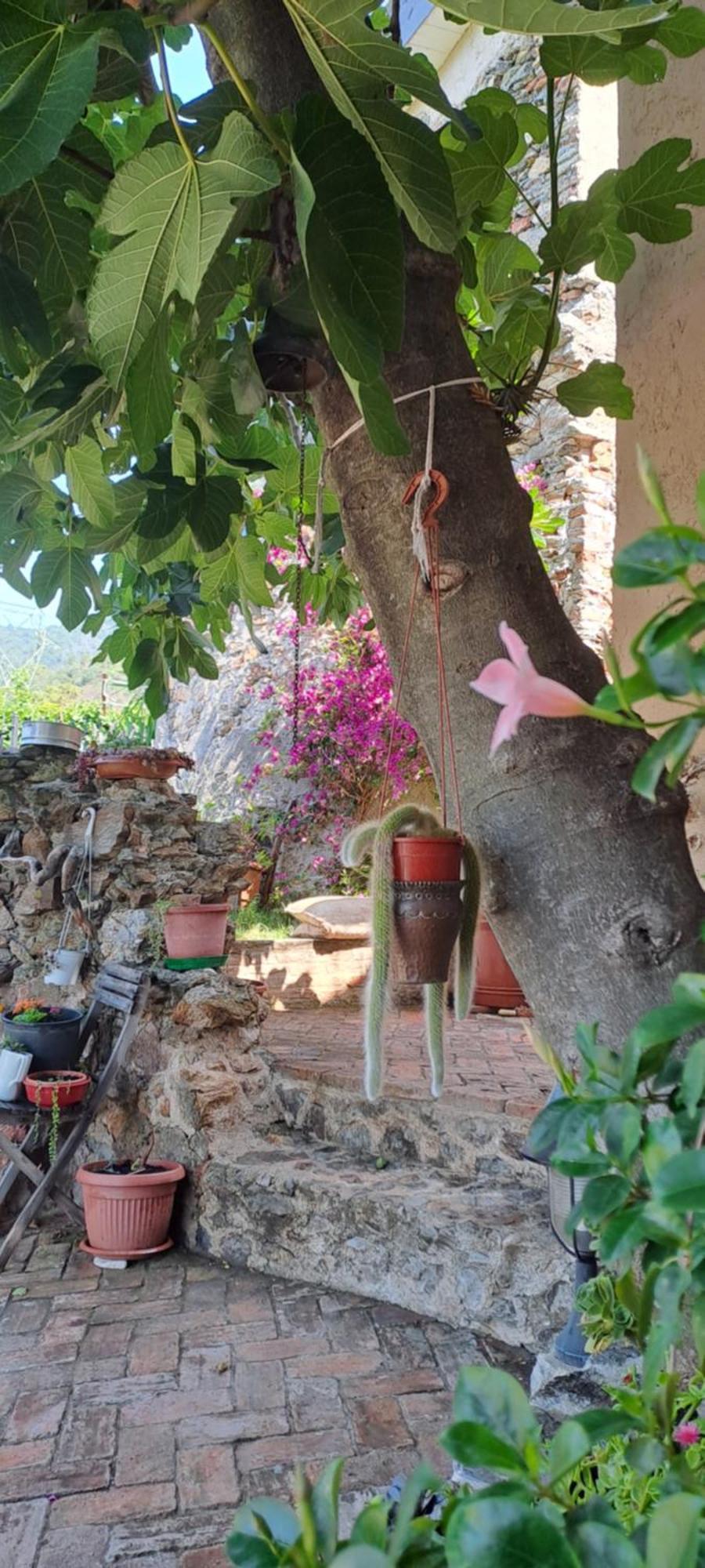 B&B L' Antica Macina Куилиано Экстерьер фото