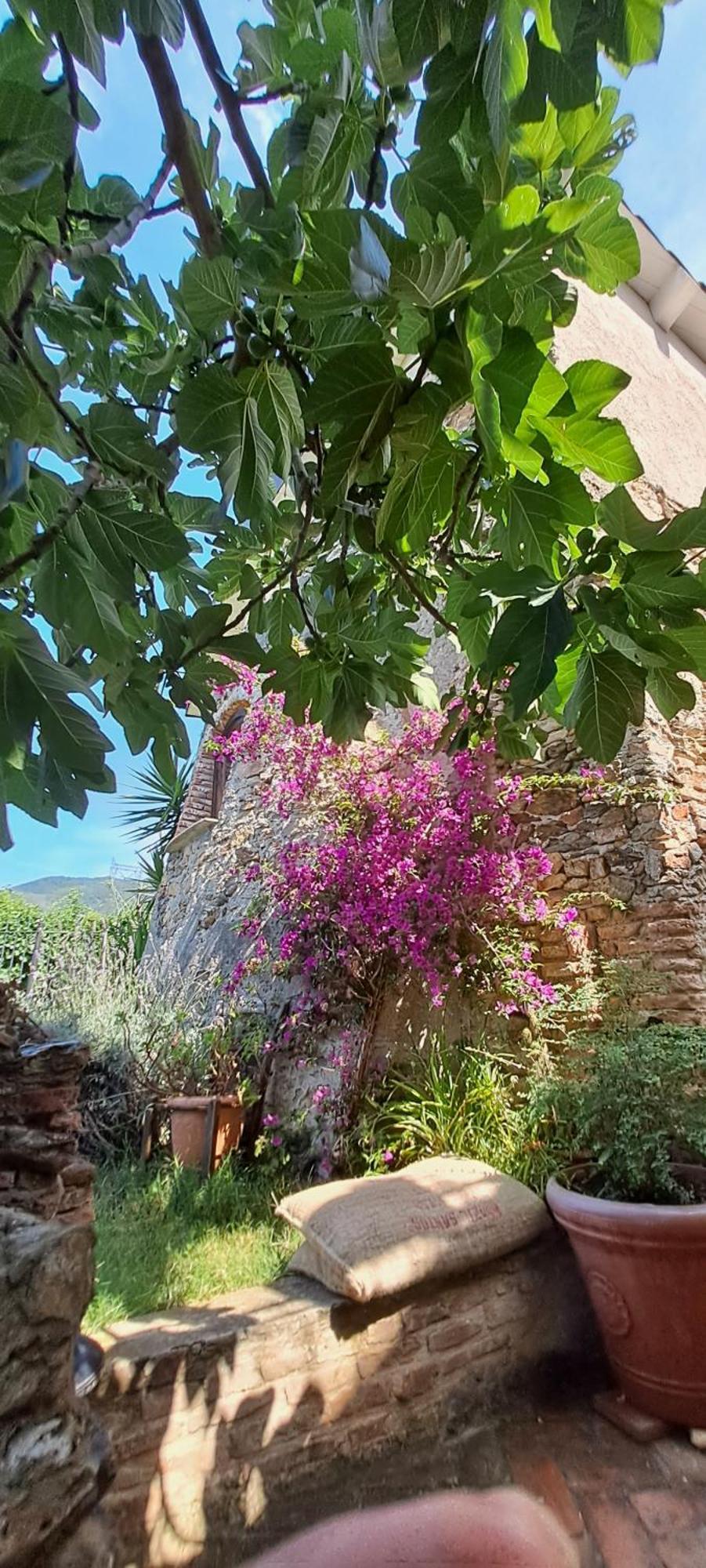 B&B L' Antica Macina Куилиано Экстерьер фото